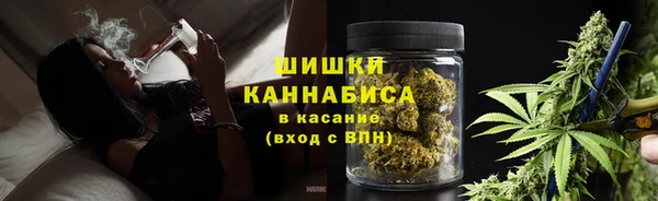 ECSTASY Богородицк