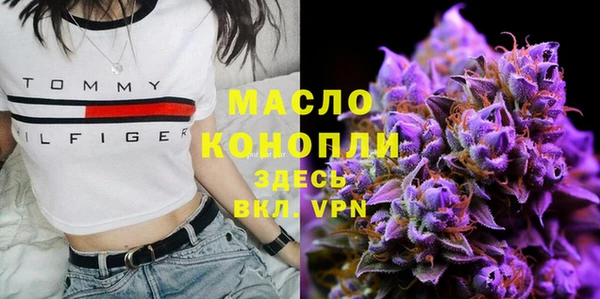 ECSTASY Богородицк