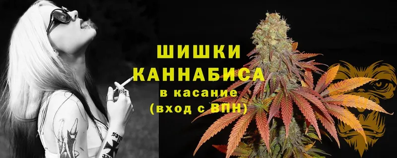 сколько стоит  блэк спрут ССЫЛКА  Марихуана сатива  Завитинск 